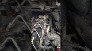 Проверял форсунки на Газель Next 2,8 Cummins