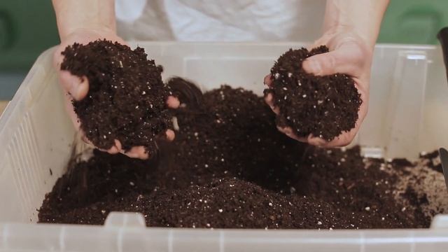 Линейка грунтов для кактусов, цитрусовых, орхидеи, розы, фиалка, пальмы и фикусы. смотреть онлайн