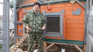 Естественное отопление курятника зимой.