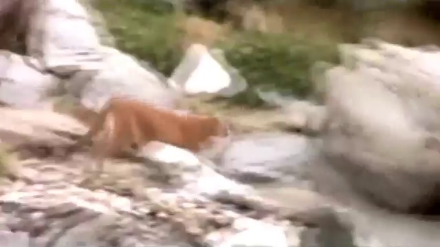 Без слов, это видео расскажет всё! смотреть онлайн