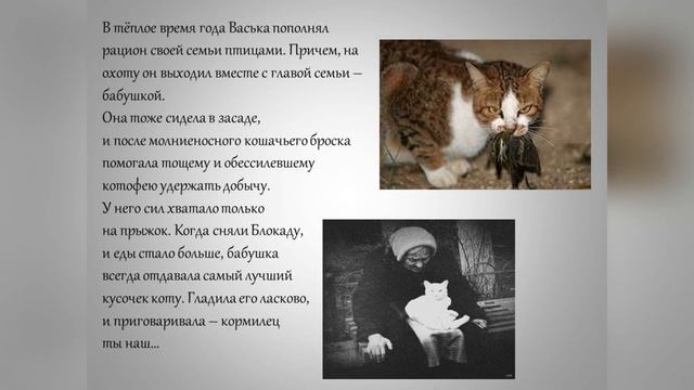 1 марта - Всемирный день кошек смотреть онлайн