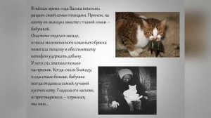 1 марта - Всемирный день кошек