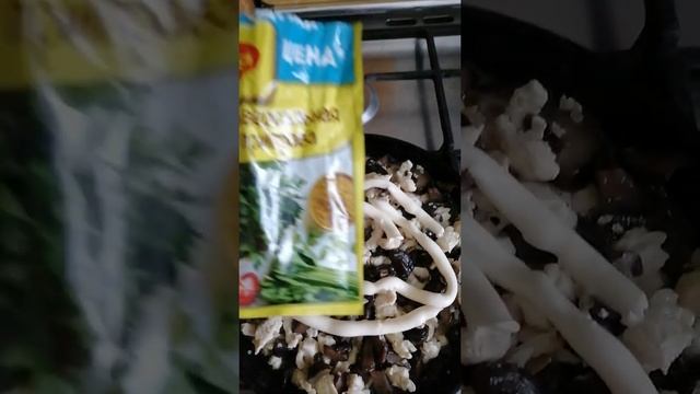 #жульен_с_курицей_и_грибами смотреть онлайн