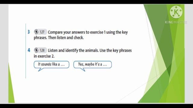 English plus 6 Our countryside Unit 3 Animals🐯🐻🐺🐰🐱🦁 смотреть онлайн