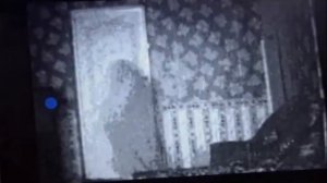 Каминный гость