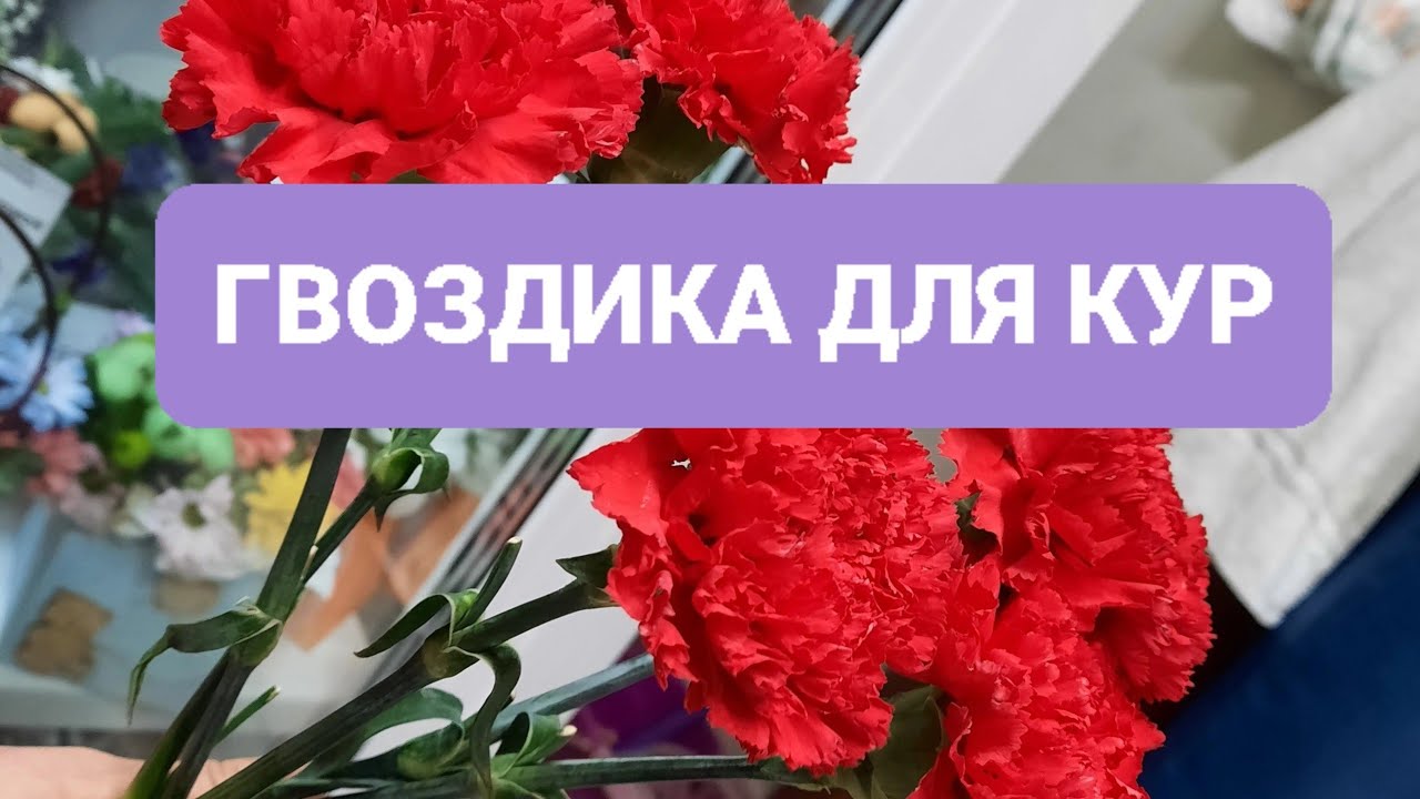 СУПЕР ПОЛЕЗНЫЙ ОТВАР ДЛЯ КУР 100% ЯЙЦЕНОСКОСТЬ . смотреть онлайн