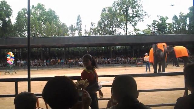 животный мир Тайланда смотреть онлайн