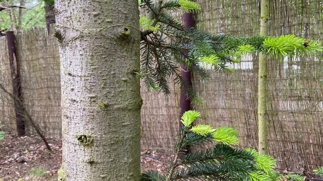 Стих: есть люди смотреть онлайн