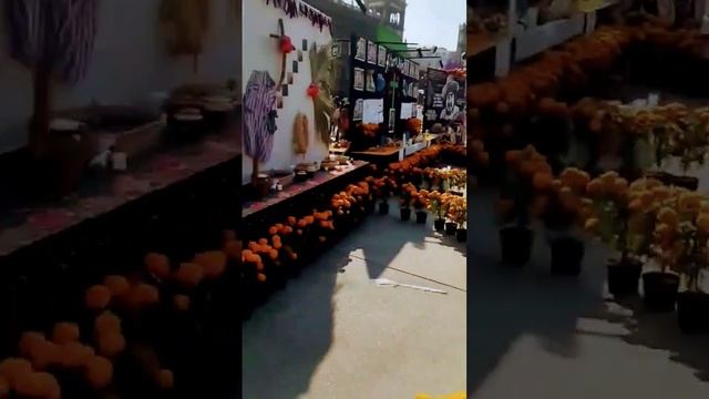 день мёртвых, путешествия, туры по Мексике,имиграция в Мексику, Тихуану,США, наши в городе ? смотреть онлайн