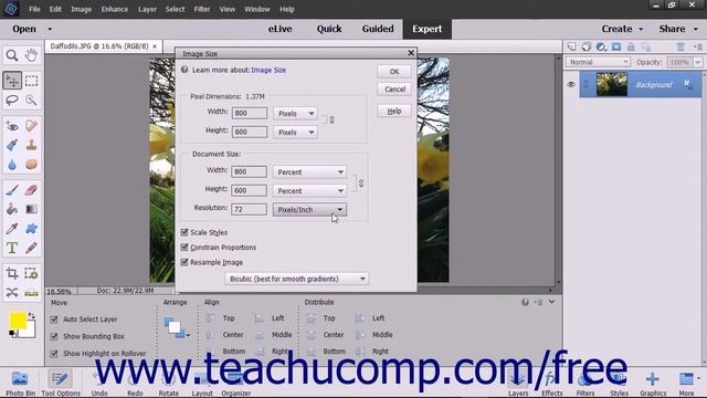Photoshop Elements 2018 Tutorial Image Size & Resolution Settings Adobe Training смотреть онлайн
