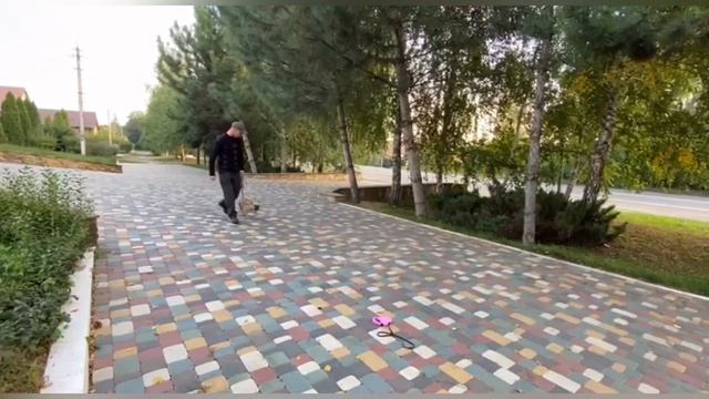 Отучаем ту самую СОБАКУ французский бульдог тянуть поводок смотреть онлайн
