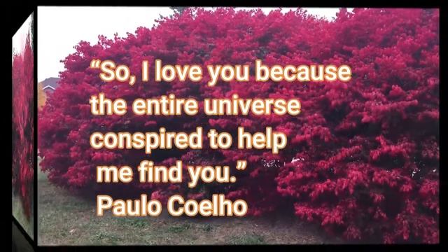 Love Quotes / Best Love Quotes/VK TECH AND LIFESTYLE смотреть онлайн