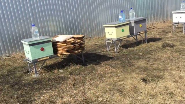 Бакфаст Урал! 25.04.2021 год! смотреть онлайн