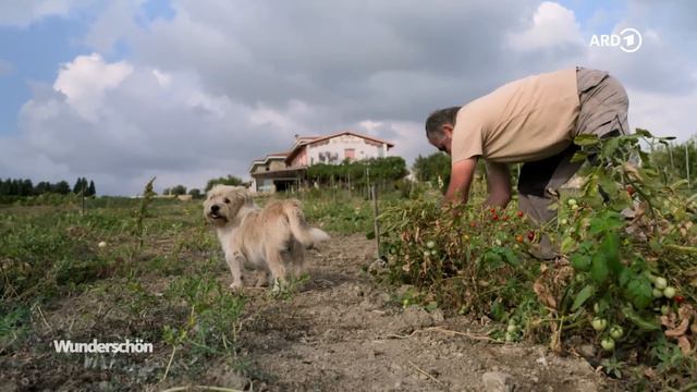 Sardiniens Süden - Sandstrände, Pasta Und Pecorino | Wunderschön | ARD Reisen