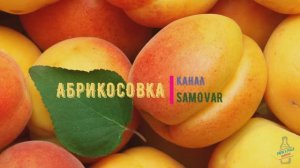 Абрикосовка (ЧаЧа) ВЕСЬ ПРОЦЕСС....
через дефлегматор