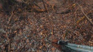 COVID-19 ZOMBIE 15 APOCALYPSE ESCAPE