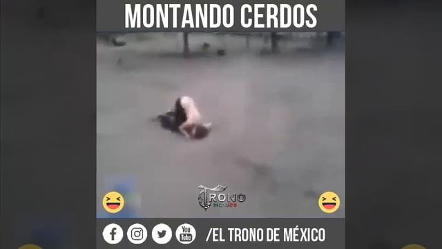 El Ferrari mas rapido del mundo jajaja смотреть онлайн