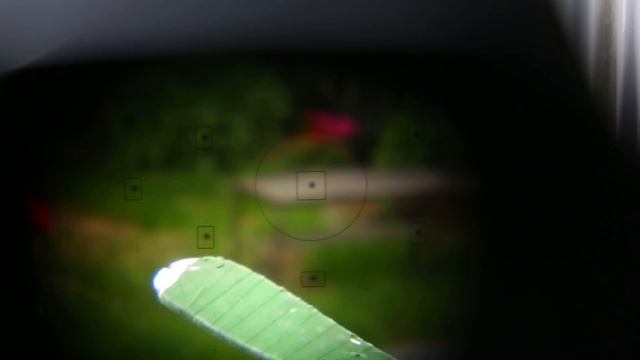 70-210mm USM vs 55-250mm STM AF speed and sound смотреть онлайн
