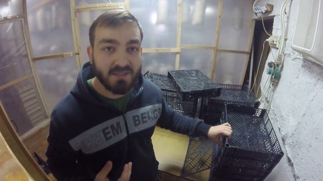 Фруктовые ящики и их польза в хозяйстве. смотреть онлайн