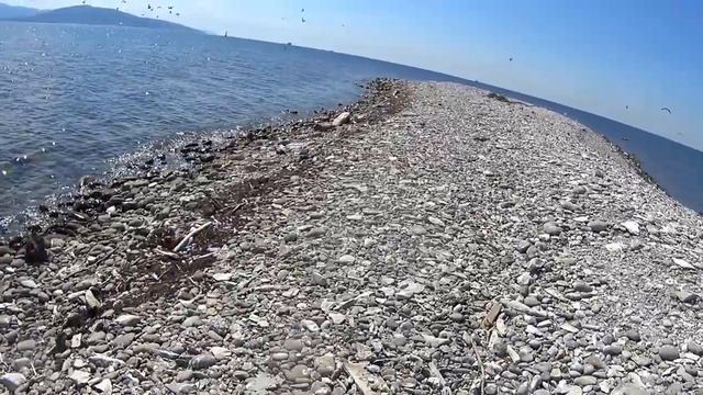 Остров Суджук - туалет для чаек по первому впечатлению смотреть онлайн