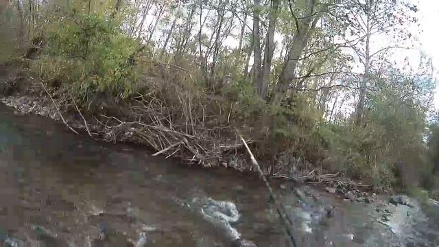 29.09.2017 ловля пеструшки на горной речке в приморье смотреть онлайн