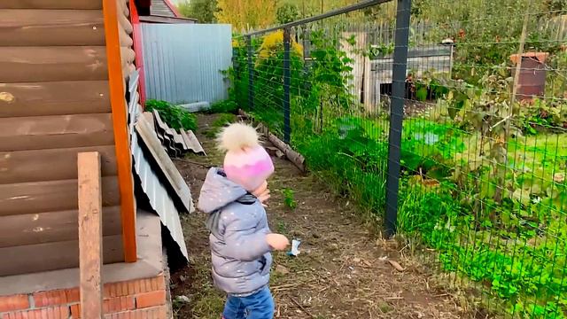 Путешествие Funny Cookieツ к животным/Funny Cookie'sツ Journey to Animals смотреть онлайн