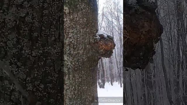 поиск сувеля и капа смотреть онлайн