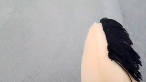 влог с тренировки по хоббихорсингу:) | HITI