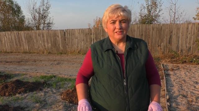 ОЗИМЫЙ ЧЕСНОК: 5 ПРАВИЛ УСПЕХА. Садим-Сеем. Мой опыт. смотреть онлайн