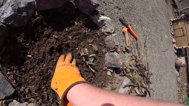 #Дача Открыли ДАЧНЫЙ СЕЗОН 2022г/Завтрак с ШАМПАНСКИМ ужин с ШАШЛЫКАМИ а между этим ТРУДОВОЙ ДЕСАНТ смотреть онлайн