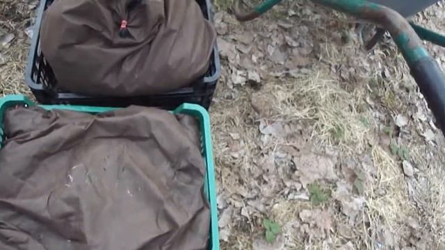 Dendrobena в мешках в холодильнике 17.04.2012 1 смотреть онлайн