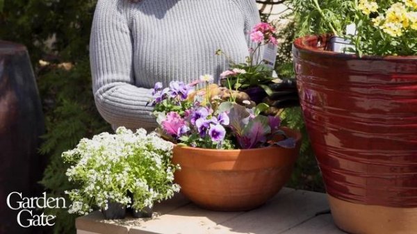 ? Spring Container Ideas ?