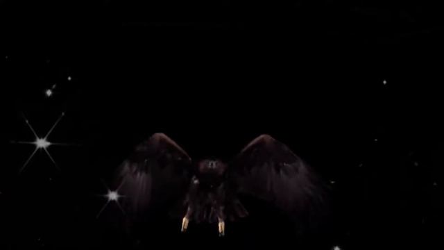 Парящий орел символ 2019 года! Что принесет Новый 2019 год Парящего орла? смотреть онлайн