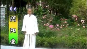 Удан. Школа свернувшегося дракона. 8 змеинных ладоней