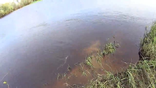 Щука на спиннинг, ЖОР смотреть онлайн