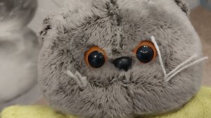 БАСИК В ГОСТЯХ! ЗЛОЙ АНОНИМУС?