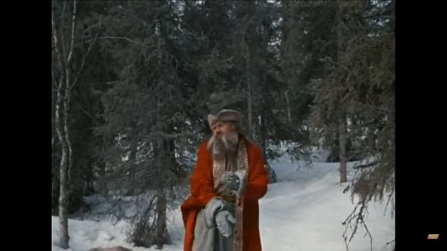 День Работников Леса. Открытка - Сюрприз. 15 Сентября.