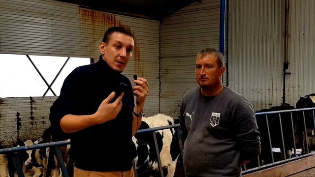 Как в 19 лет начинал Бизнес на откорме бычком и держит молочных коров ферму КРС. Сельское хозяйство смотреть онлайн