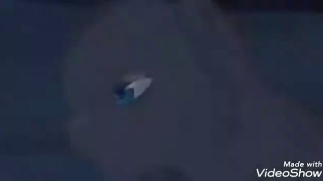 Остролап и Белогривка/ Синия звезда и Жолудь. Клип "Коты-воители" "О чём не скажет моё сердце"💔 смотреть онлайн