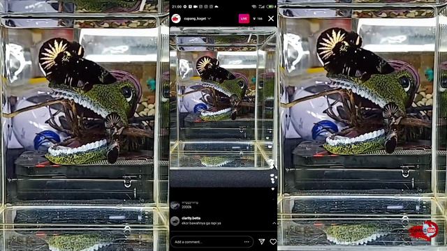 BLACK COOPER (Rp 2.400.000,00) смотреть онлайн