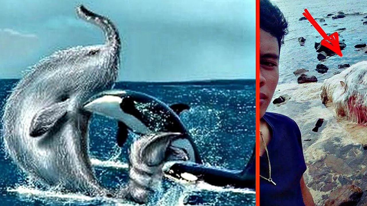 3 САМЫХ ЗАГАДОЧНЫХ ТРУПА смотреть онлайн