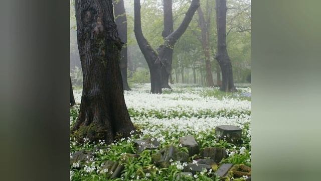 Путь воскрешения. Авторский бит/Way of resurrection. Author's bit. смотреть онлайн