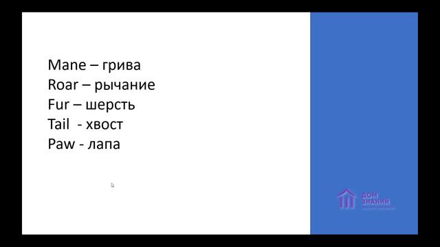 6 класс. Английский язык. Пахрутдинова А.А. Тема: "О животных" смотреть онлайн
