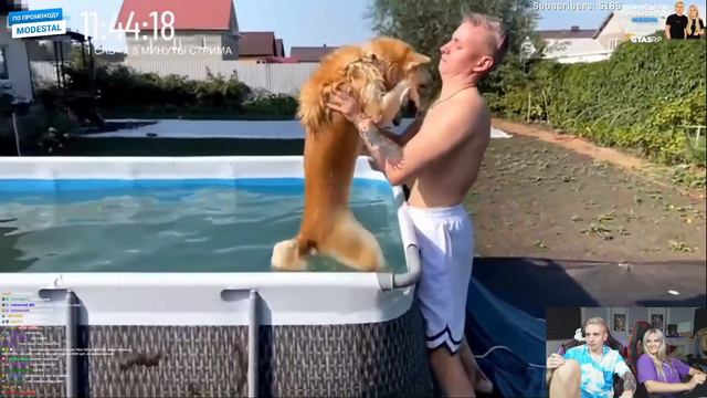 Modestal смотрит: САБАТОН MODESTAL | ДЕНЬ 1 / Реакция модестал