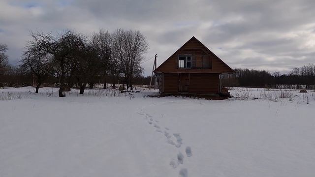 Дом в деревне. Два домика у озера. Обзор продаваемых домов в 2022 году. #купить дом в деревне смотреть онлайн