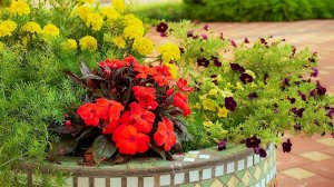 ?Красивые ландшафтные идеи для вашего вдохновения / Creative garden ideas / A - Video