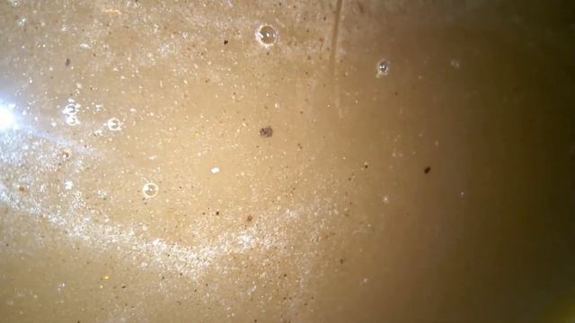 Мёд с прополисом