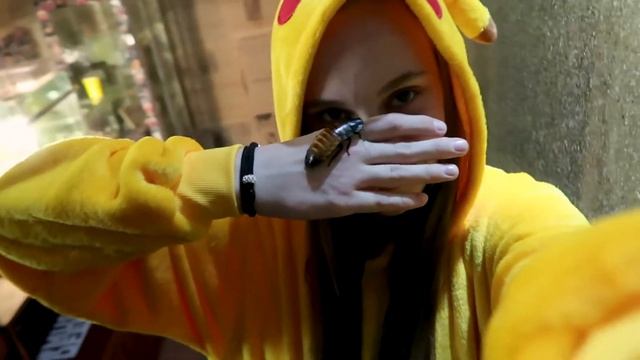 МУЗЕЙ ЭМОЦИЙ – Каникулы в Петербурге