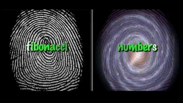 FIBONACCI NUMBERS ∆ смотреть онлайн