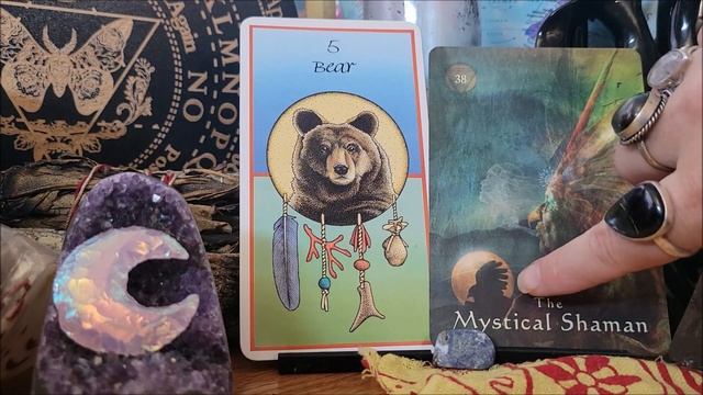 Scorpio Astro Oracle Introspective Mystic смотреть онлайн